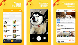 東方智啟科技APP開發(fā)-鈴鐺寵物app點(diǎn)評 鈴鐺寵物app如何