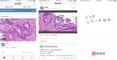 東方智啟科技APP開發(fā)-愛(ài)病理APP點(diǎn)評(píng) 愛(ài)病理APP好不好