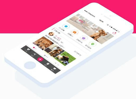寵物app開發(fā)定制能讓寵物主看到新世界--深圳app公司東方智啟科技