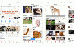 東方智啟科技APP開發(fā)-寵友幫app點(diǎn)評(píng) 寵友幫app好用嗎