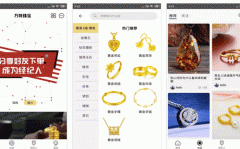 東方智啟科技APP開(kāi)發(fā)-對(duì)萬(wàn)特珠寶APP測(cè)評(píng)可以看到什么