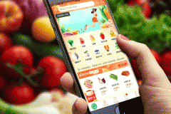 東方智啟科技APP開發(fā)-實(shí)惠的生鮮平臺(tái)APP開發(fā)提供上乘商品