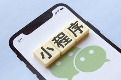 東方智啟科技APP開發(fā)-開發(fā)微信小程序需要哪些技術(shù)